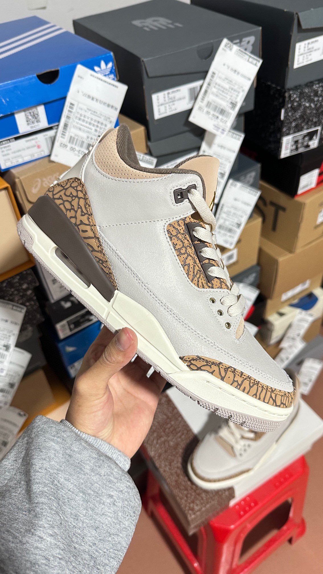 Nike Jordan shoe